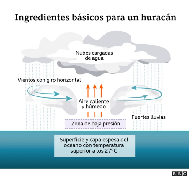 Cómo se forma un huracán