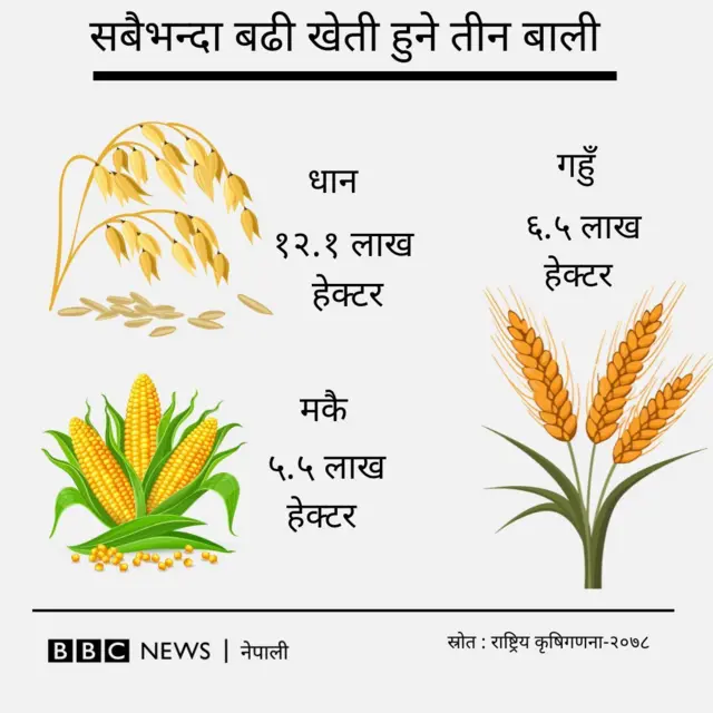 कृषिगणना