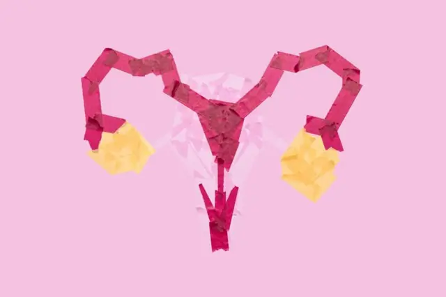 Renkli bantlarla yapılmış insan dişi üreme sistemi. Yumurtalık, fallop tüpü, vajina, rahim görünüyor, stok görsel. 