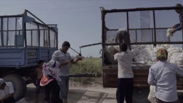 Ўрганиш сўнгида эса ҳисобот муаллифлари "Human Rights Watch" ва "Ўзбек Форуми" Ўзбекистон ҳукуматини фермерларга нисбатан айни вазиятни тузатишга чақирган.