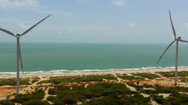 இலங்கை மன்னாரில் அதானி திட்டத்தை முறைகேடாக அனுமதிக்க முயற்சியா? சுற்றுச்சூழல் ஆர்வலர்கள் எதிர்ப்பது ஏன்?