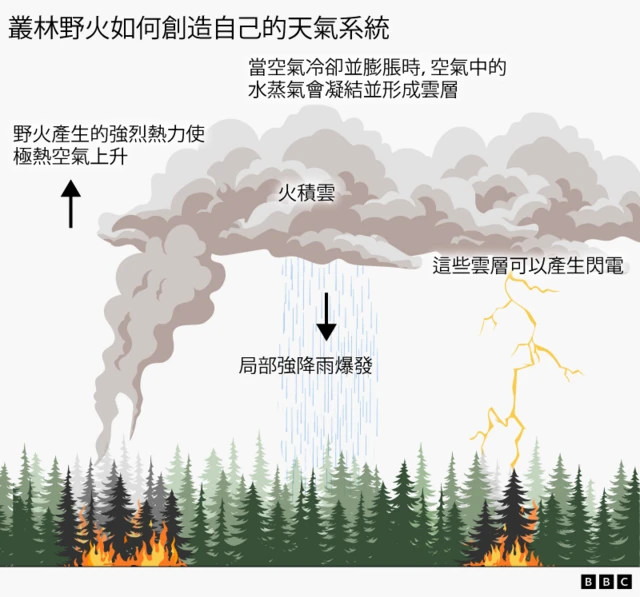 圖解野火如何形成自身的天氣系統