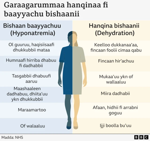 Fakkeenya qabiyyee bishaanii kutaalee qaamaa adda addaa agarsiisu