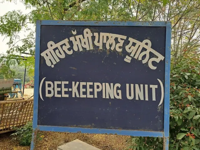 ਮਧੂ ਮੱਖੀ