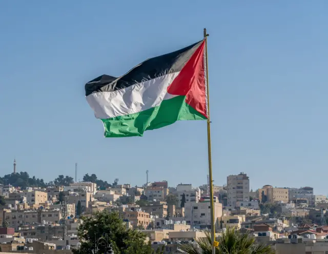 العلم الفلسطيني الكبير يرفرف فوق المدينة. - صورة فوتوغرافية