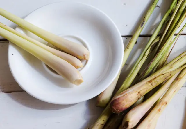 Les tiges de citronnelle