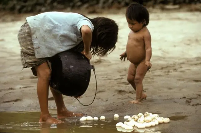 Outra imagemroulettist1993, na qual uma menina Achuar coleta ovosroulettisttartaruga no rio Conambo enquanto um menino observa