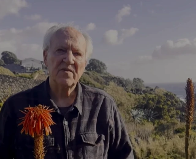 பென்குயின், விலங்குகள்