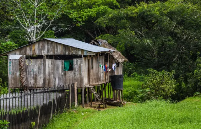 Cabana sobre palafitasfutebol net apostafrente a floresta