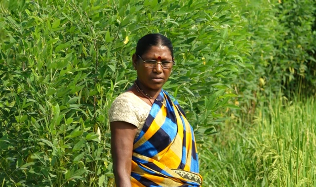 आम्हाला कंपनीला जमीन भाड्यानंही द्यायची नाही आणि विकायचीही नाही, असं रंजना कोवे म्हणाल्या.