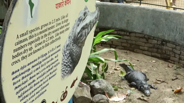 मगरी, मुकेश अंबानी संग्रहालय