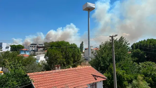Edremit'in Zeytinli mahallesinden yangının görünümü. Önde dört beş ev ve ağaçlar, arkada yangın görünüyor.