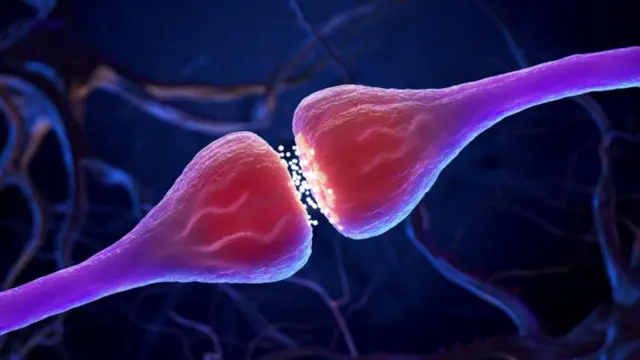 બીબીસી ગુજરાતી