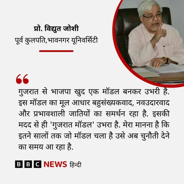 प्रो. विद्युत जोशी का बयान