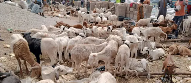 Aworan lati ọja Ẹran