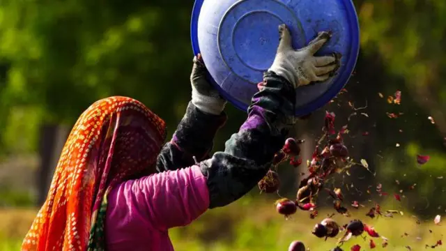 મહિલા ખેડૂતની તસવીર