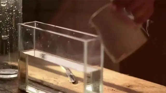 வானம் ஏன் நீல நிறத்தில் காட்சி அளிக்கிறது? ஆராய்ச்சிக்கு டிண்டால் பயன்படுத்திய கருவி என்ன?