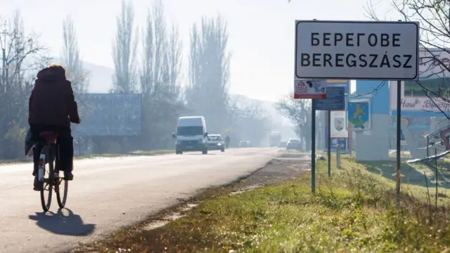 Дорожный знак "Берегово" на двух языках - украинском и венгерском