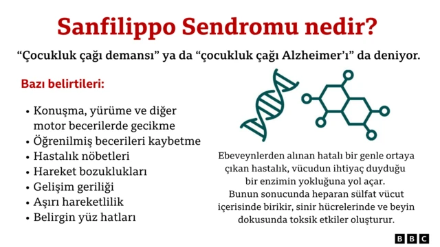 sanfilippo sendromunun belirtilerini açıklayan bir grafik.