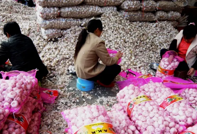 Namoota qullubbii adii gurguran