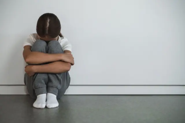 অন লাইন বুলিং বোঝাতে ব্যবহৃত প্রতীকী ছবি। 