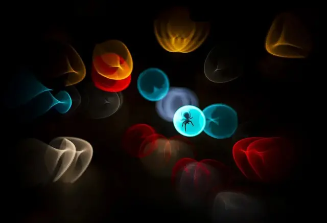 Une araignée orbitèle capturée dans une sphère de lumière