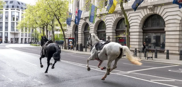 Dois cavalos galopando no centroapps de cassinoLondresapps de cassinoabril