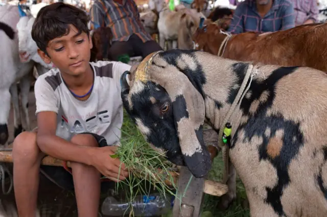 प्रातिनिधिक फोटो
