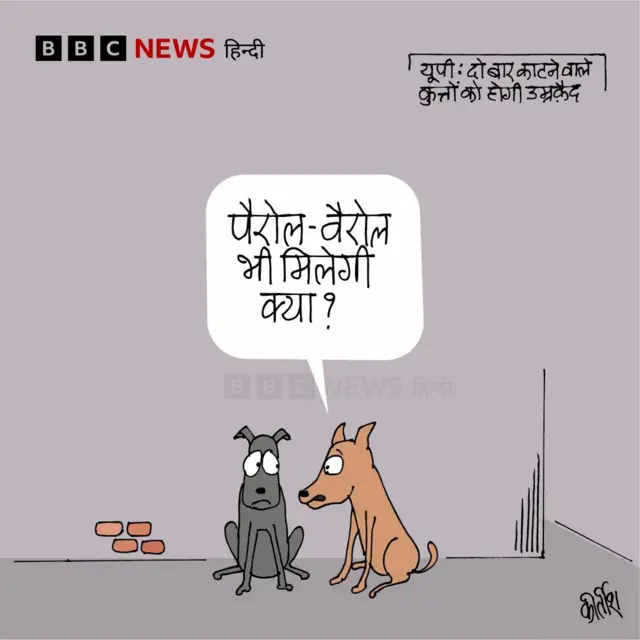कार्टून