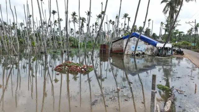 శంకరగుప్తం డ్రెయిన్ పరిసర 13 గ్రామాల్లో ఎక్కడైనా ఇదే పరిస్థితి