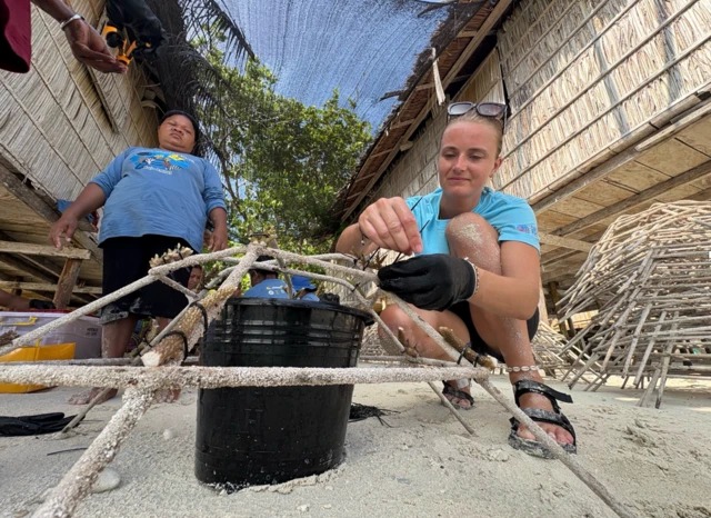 raja ampat, terumbu karang, caledonian sky, perempuan