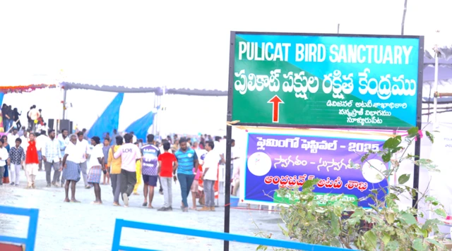 పులికాట్ సరస్సు