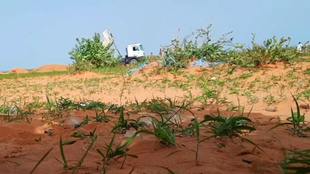 સુદાનની તસવીર