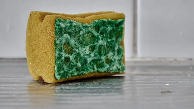 ልዑል ባክተርያ ናይ ምሓዝ ተኽእሎ ዘለዎ ስፖንጅ ወይ ሰፍነግ