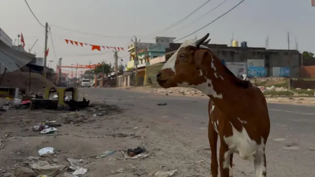 उत्तर प्रदेश