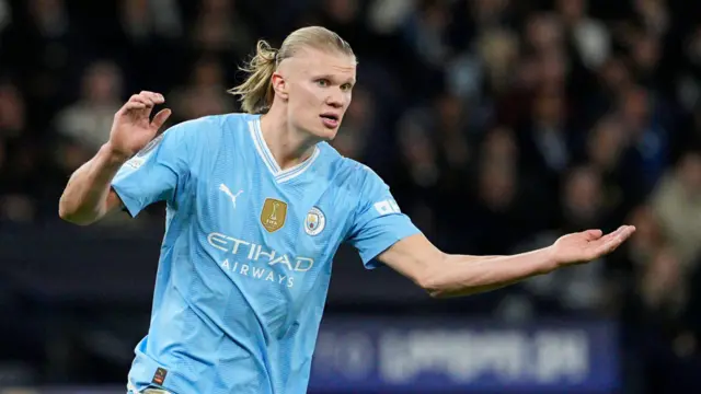 Erling Haaland 