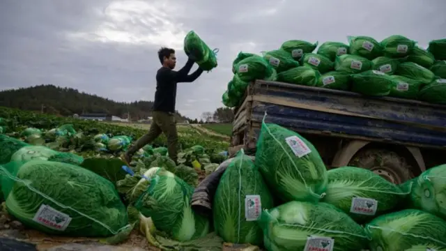 Thai labour South Korea
