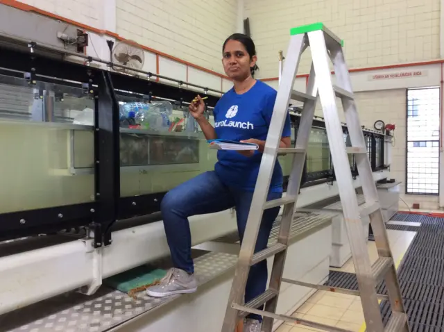 Final phase lab testing of smart gutter in 2016