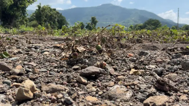 खरडून गेलेली शेतजमीन