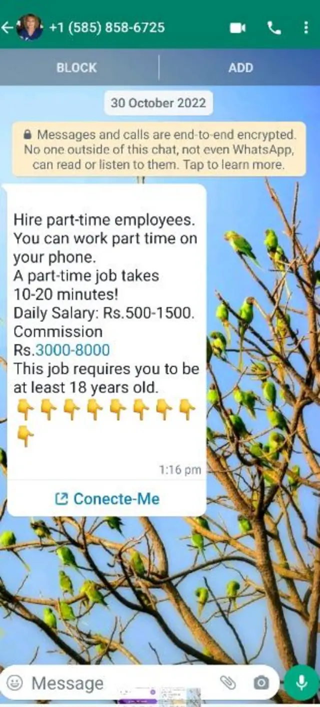 ఫేక్ జాబ్స్