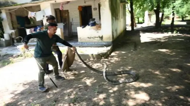 सापानं जर कात टाकली नाही तर तो आजारी आहे असं मानतात.