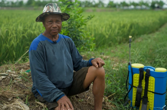 indramayu, kawasan industri, losarang