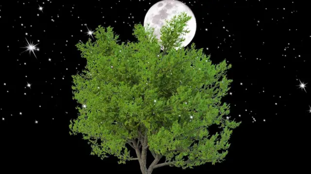 அருந்ததி