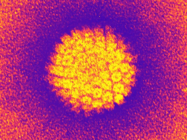 HPV'nin elektron mikroskobuyla görünüşü