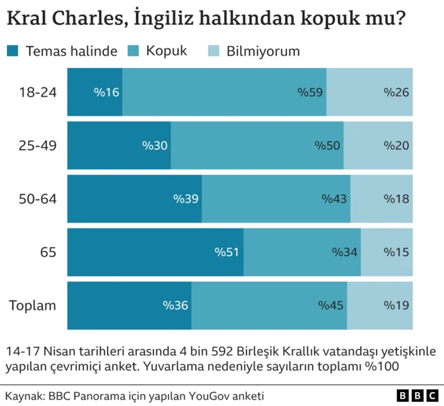 anketteki bir verinin tablosu