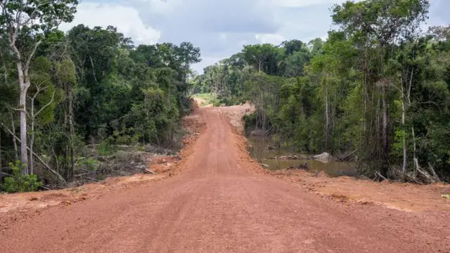 Como a degradação da Amazônia aumenta o risco de novas pandemias Rodovia de terra no meio da floresta