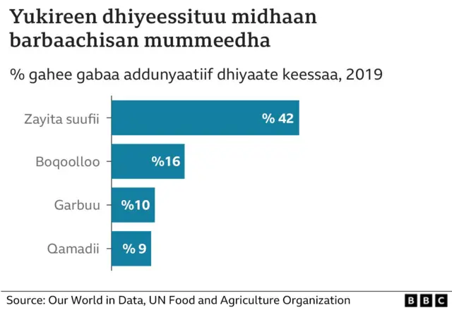 Yukireen dhiyeessituu ishe guddoodha