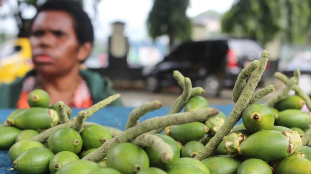 kanker mulut, tradisi pinang, perempuan, Papua