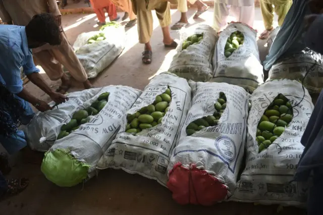 पाकिस्तानातला आंबा