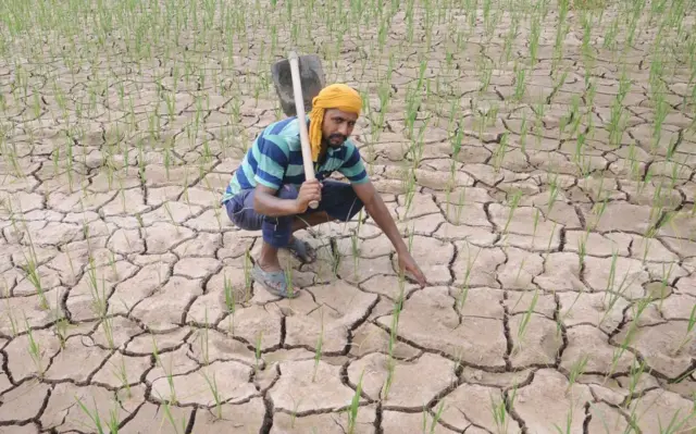 gujarat, monsoon, weather update, farmers, gujarat agriculture, બીબીસી ગુજરાતી, ગુજરાત, ચોમાસું, હવામાન સમાચાર